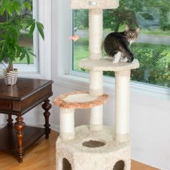 Promo βοΈ AeroMark International Inc Soft Heavy Carpet Cat Furniture With Condo For Large Cat π 10 Promo βοΈ AeroMark International Inc Soft Heavy Carpet Cat Furniture With Condo For Large Cat π -Dining Room Shop e4lsdafgyw46nlskqxbd faeac20c 9f83 4ed1 b8bc dd8529c9f7f3