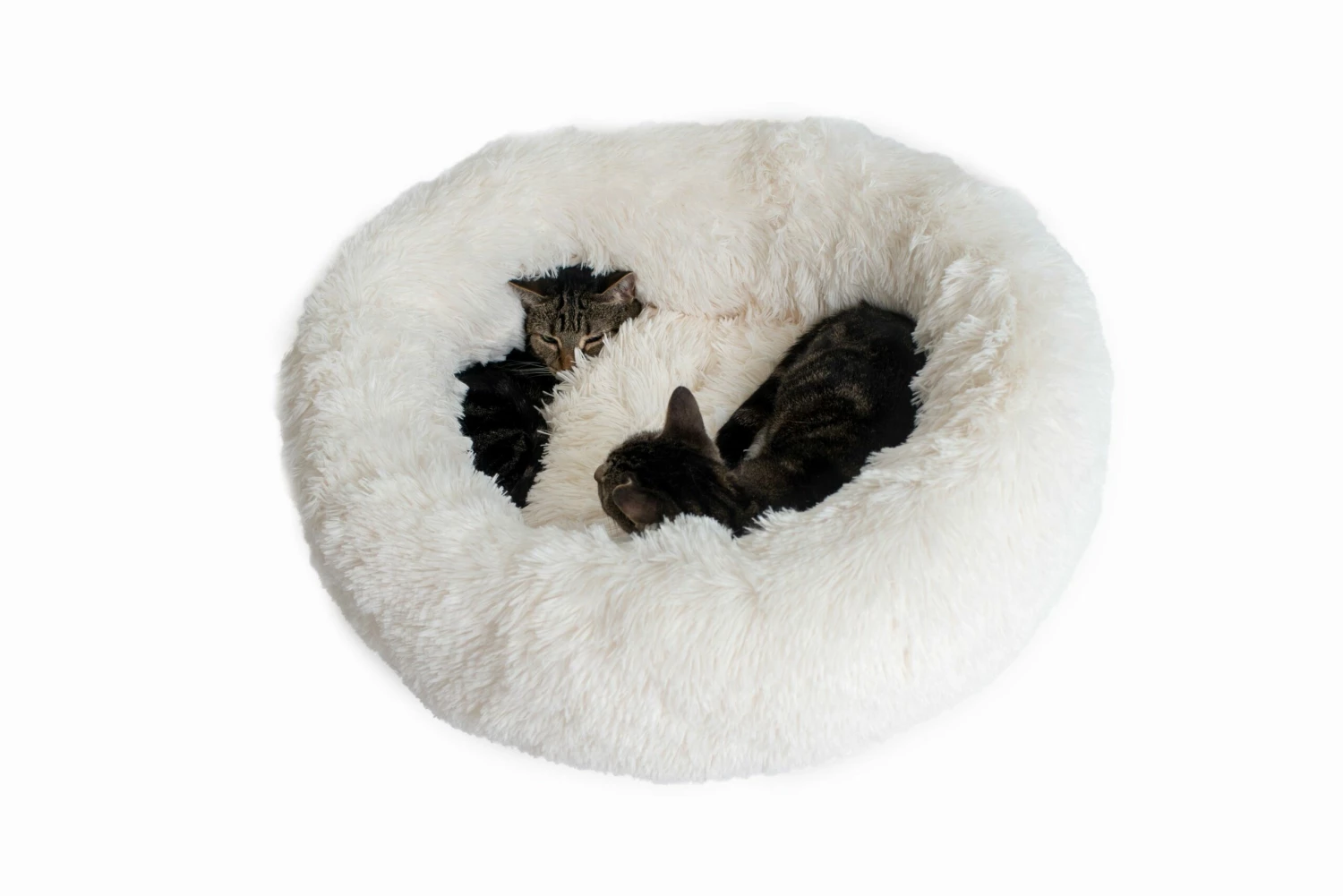 Top 10 π AeroMark International Inc Ultra Plush and Soft Cuddle Bed π 4 Top 10 π AeroMark International Inc Ultra Plush and Soft Cuddle Bed π - Image 2