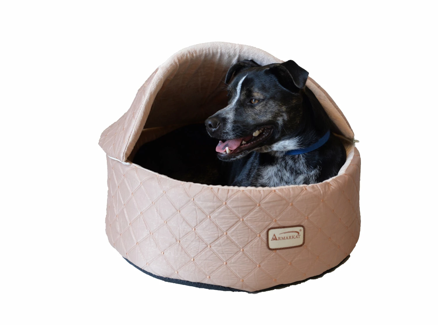 Buy π AeroMark International Inc Armarkat Silky Cat Bed W Zipper Top π― 5 Buy π AeroMark International Inc Armarkat Silky Cat Bed W Zipper Top π― - Image 3