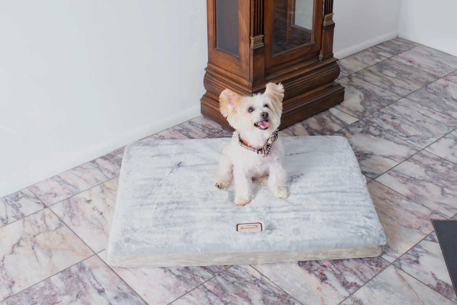 Brand new π AeroMark International Inc Armarkat Memory Foam Pet Bed Mat β¨ 8 Brand new π AeroMark International Inc Armarkat Memory Foam Pet Bed Mat β¨ - Image 6