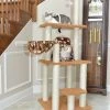 Best Pirce ⭐ AeroMark International Inc Brown Carpet Cat Furniture Pressed wood Kitty Tower 🥰 -Dining Room Shop q00w3gofmwjsvksjhcae scaled