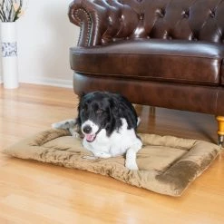 Coupon ๐ฏ AeroMark International Inc Armarkat Pet Bed Mat ๐ฆฎ Dog Pad M/L ๐ฅฐ