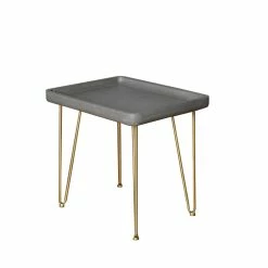 Promo 🧨 HomeRoots Gray and Gold Contemporary Modern Finish Rectangle End Table 👏