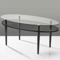 Coupon π€© HomeRoots Modern Glass Oval Coffee Table β¨